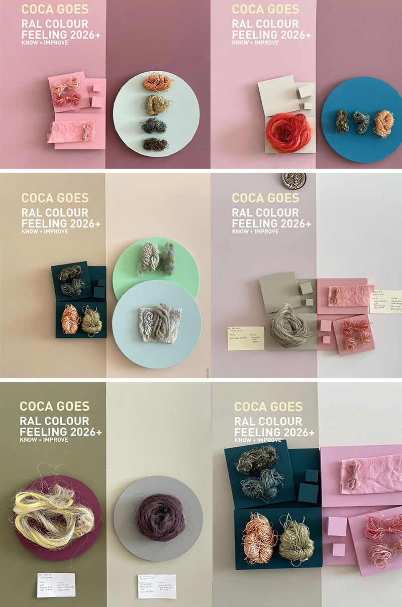 劳尔色彩趋势体验